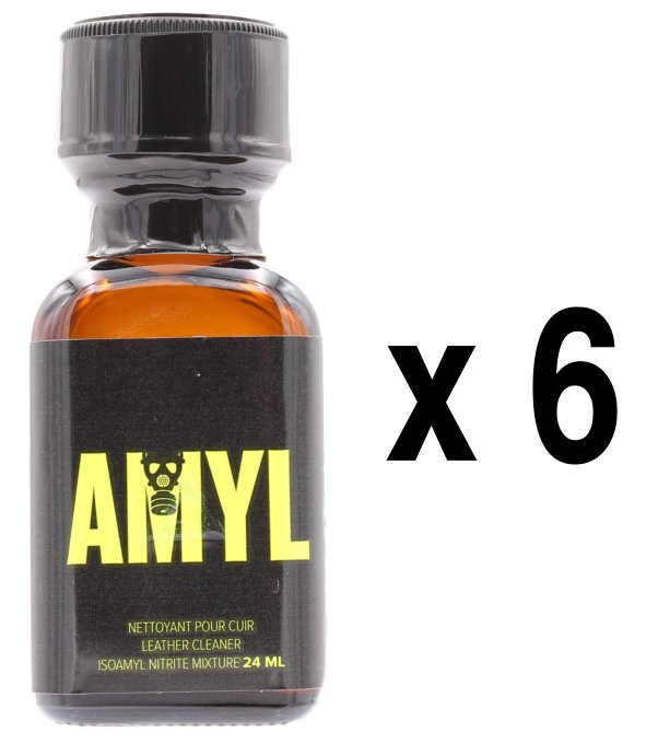 Amyl 24mL x6
