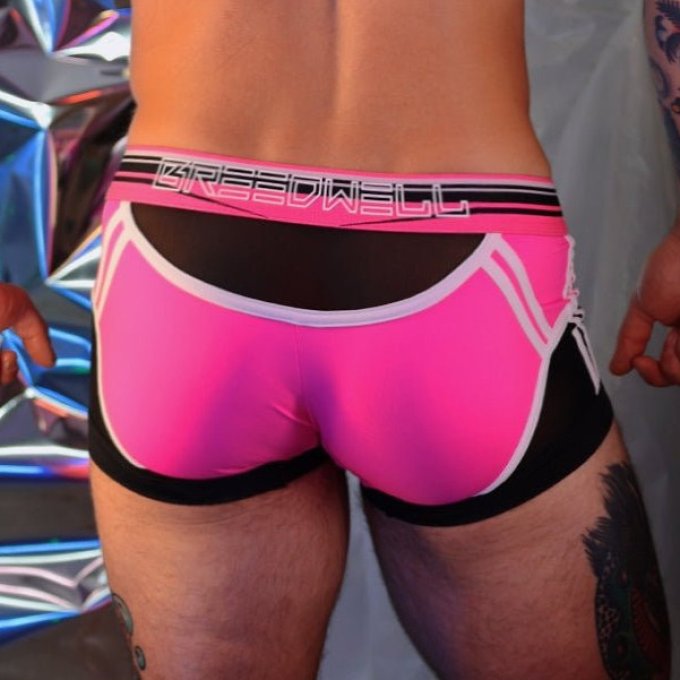 Boxer Circuit Breaker Rose