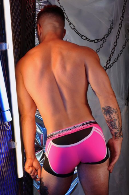 Boxer Circuit Breaker Rose