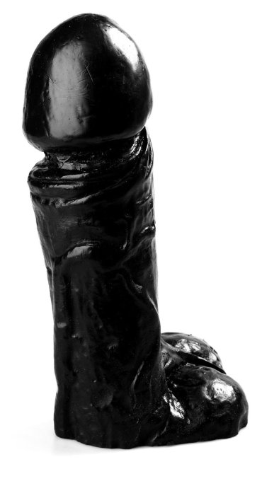 BT09 25 x 8.5 cm
