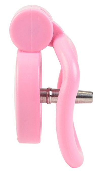 Cage avec plug Terhidy Rose 2.5 x 3.8 cm