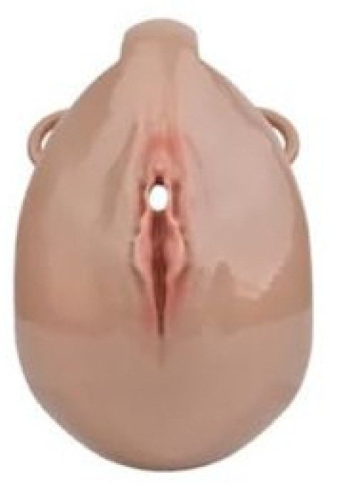 Cage de Chasteté avec Harnais Sislab 5.5 x 3.5cm Marron