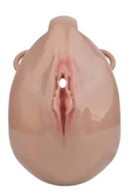 Cage de Chasteté avec Harnais Sislab 5.5 x 3.5cm Marron