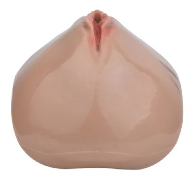 Cage de Chasteté avec Harnais Sislab 5.5 x 3.5cm Marron