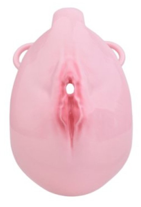 Cage de Chasteté avec Harnais Sislab 5.5 x 3.5cm Rose