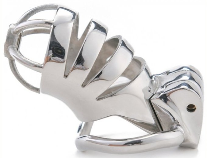 Cage de chasteté en métal Bird Up 8 x 3.3cm