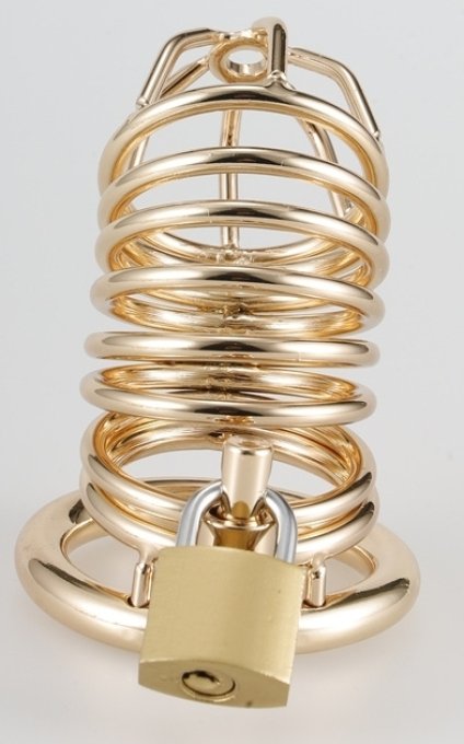 Cage de Chasteté Golden Bird 9 x 3.5cm