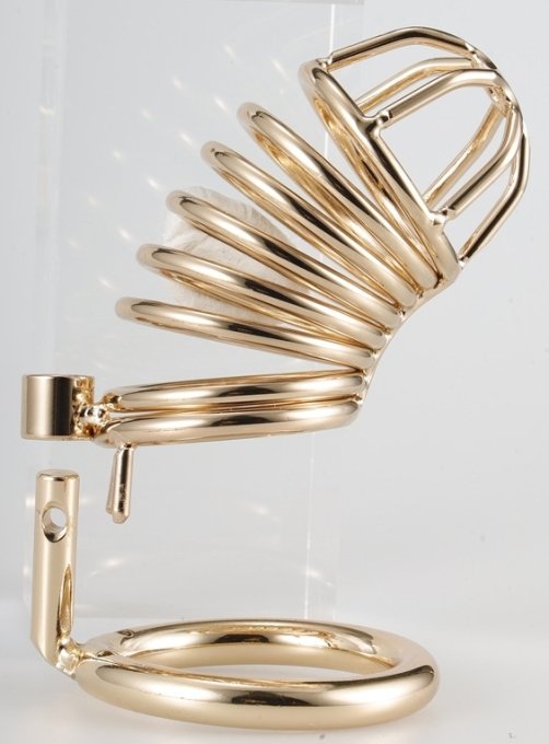 Cage de Chasteté Golden Bird 9 x 3.5cm