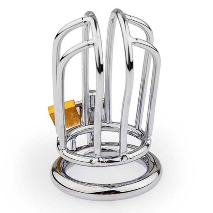 Cage de chasteté Lineale 9.5 x 3.5cm