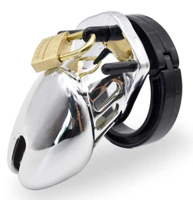 Cage de chasteté Silver Argentée