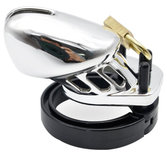 Cage de chasteté Silver Argentée