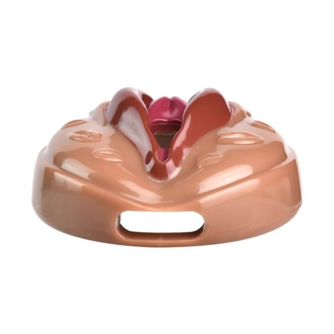 Cage de Chasteté Sissy Kiss 3.5 x 3.8cm Marron