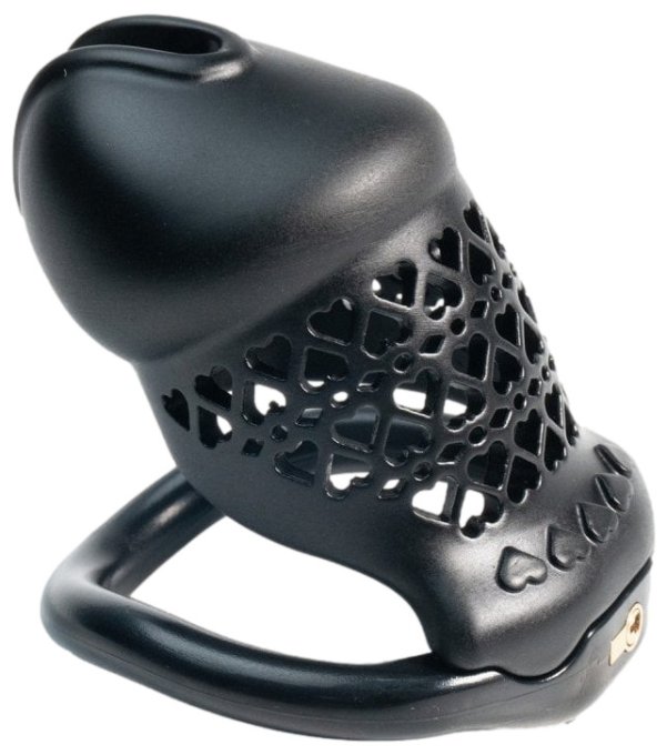 Cage Fivheart 8 x 3.2 cm Noire