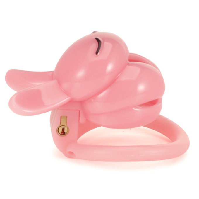 Cage Lapin 4.5 x 3 cm Rose