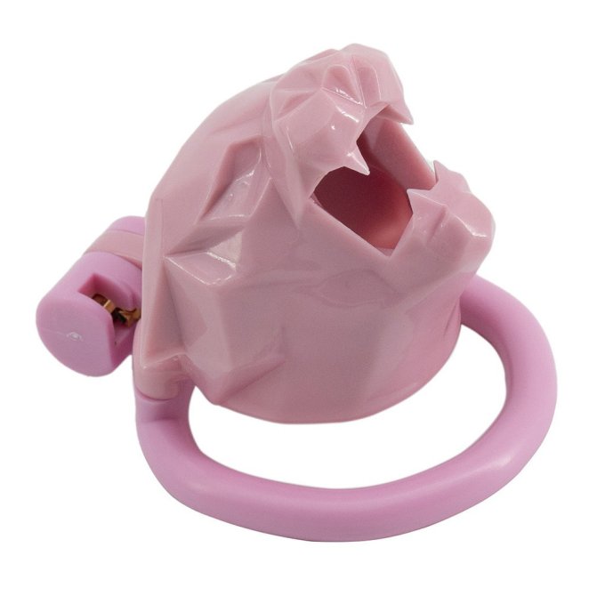 Cage Leox 4.5 x 3.5cm Rose