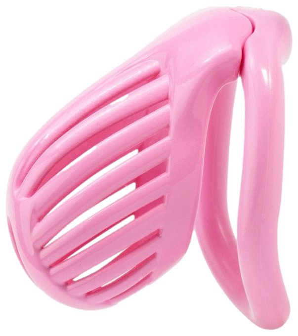 Cage Lineath 6 x 3.2 cm Rose