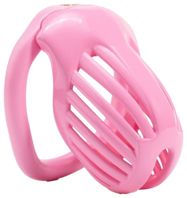 Cage Lineath 6 x 3.2 cm Rose