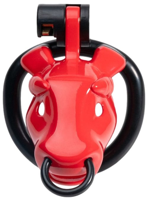 Cage Minodick 6 x 3 cm Rouge