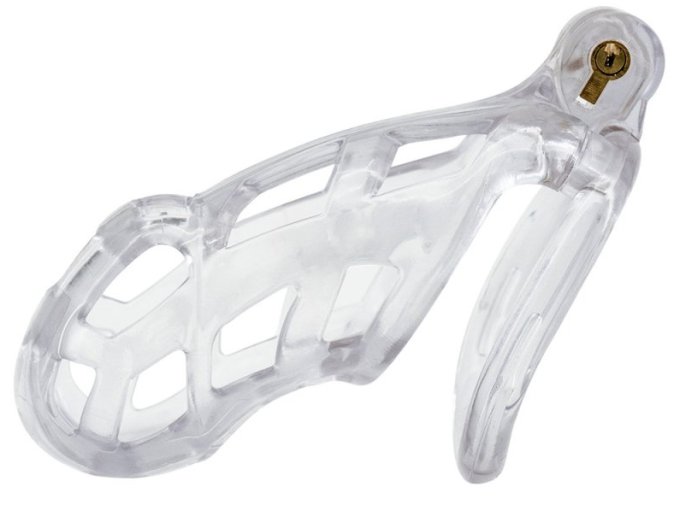Cage Robat Transparente XXL 10 x 3.7cm