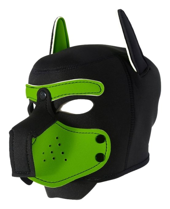 Cagoule Enjoy Puppy Noir-Vert