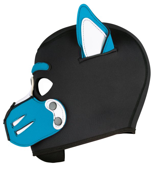 Cagoule Husky Bleu turquoise