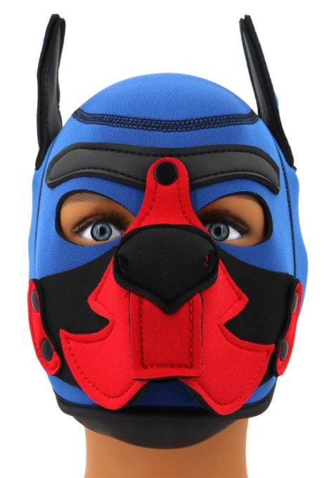 Cagoule Puppy Fox Néoprène Bleu-Rouge