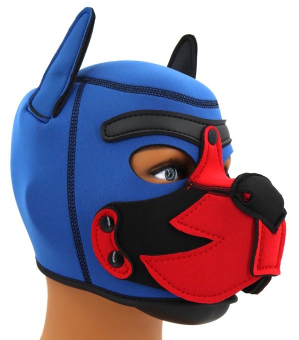 Cagoule Puppy Fox Néoprène Bleu-Rouge
