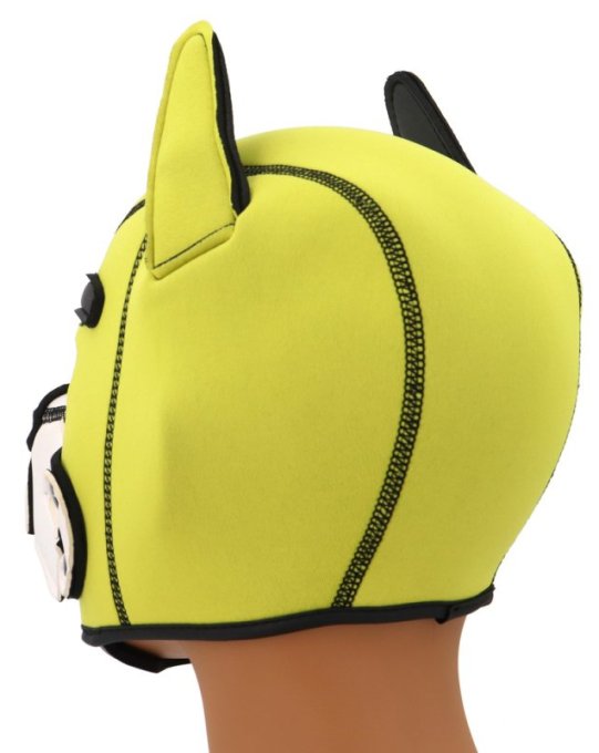 Cagoule Puppy Fox Néoprène Jaune-Blanc