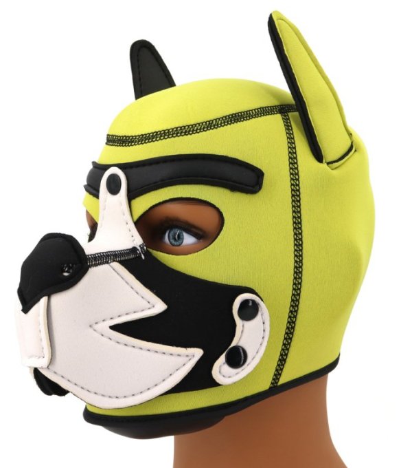 Cagoule Puppy Fox Néoprène Jaune-Blanc