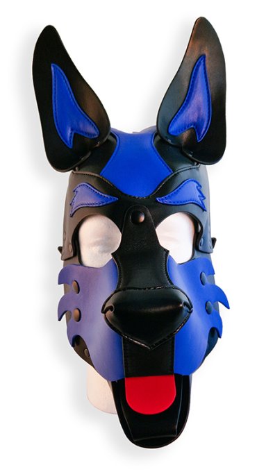 Cagoule Puppy Hood Noire et Bleue