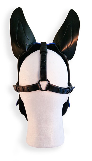 Cagoule Puppy Hood Noire et Bleue