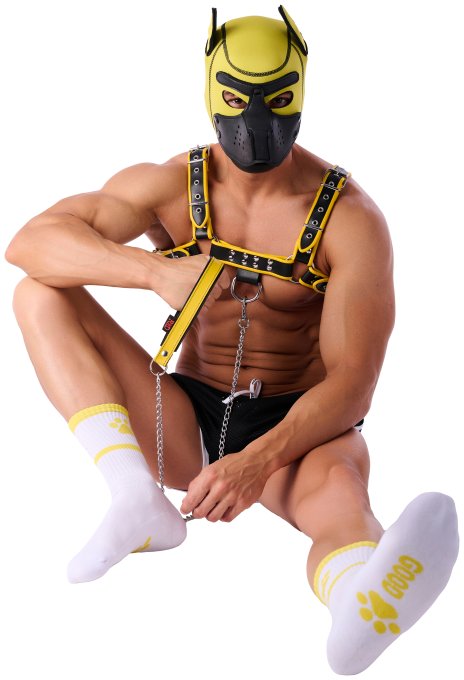 Chaussettes Good Boy Blanc-Jaune
