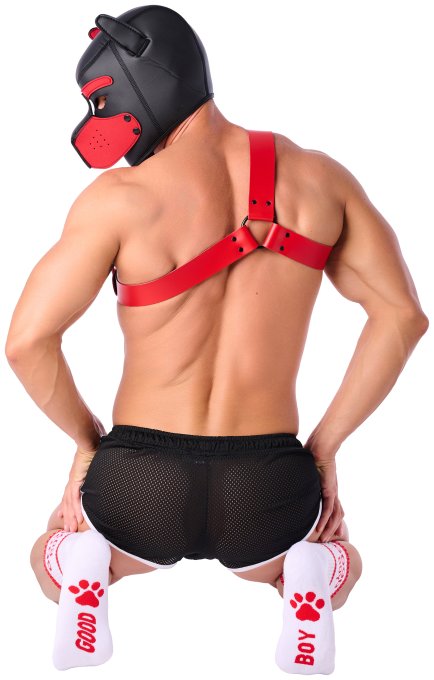 Chaussettes Good Boy Blanc-Rouge