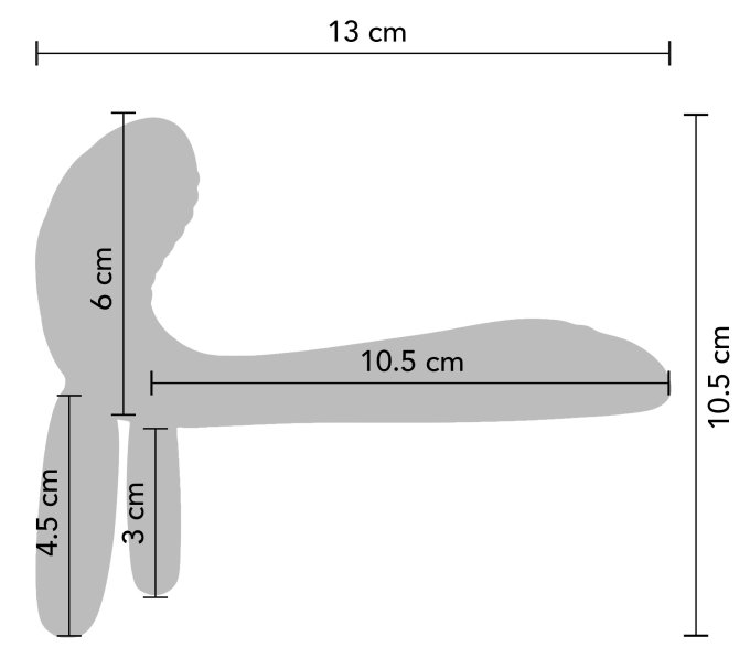 Cockring avec étui vibrant Vibrator Green 10 x 2.8cm