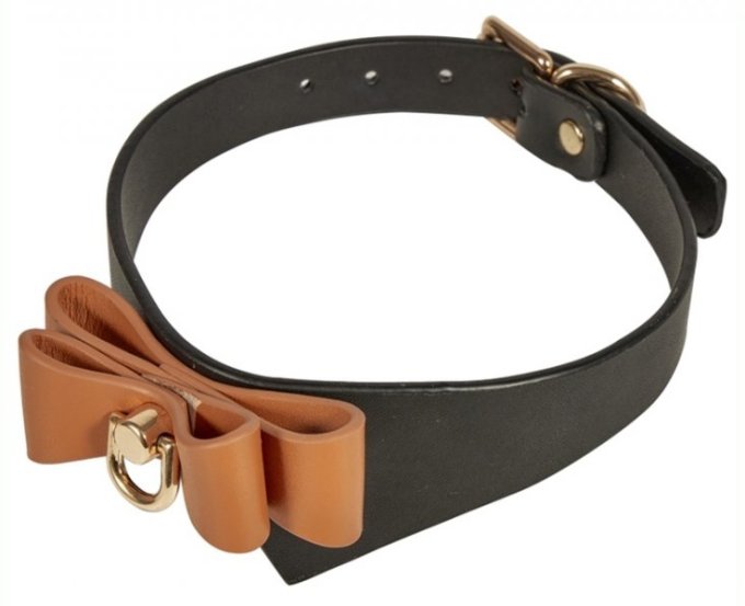 Collier et Laisse Butler Noir et Marron