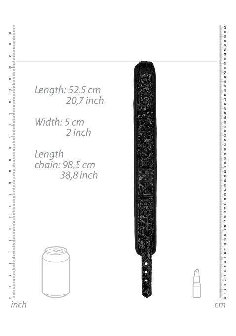 Collier et Laisse Luxury Noir
