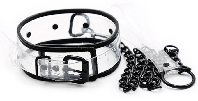 Collier Laisse Aquax Transparent