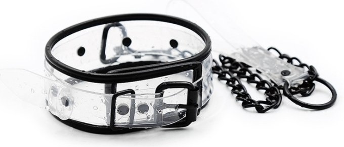 Collier Laisse Aquax Transparent