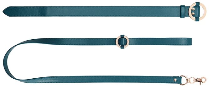 Collier-Laisse Halo Col Bleu