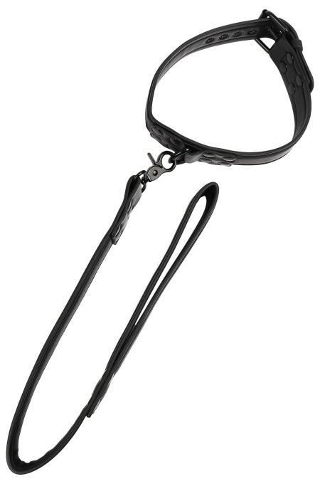 Collier-laisse Vantage 8 Noir