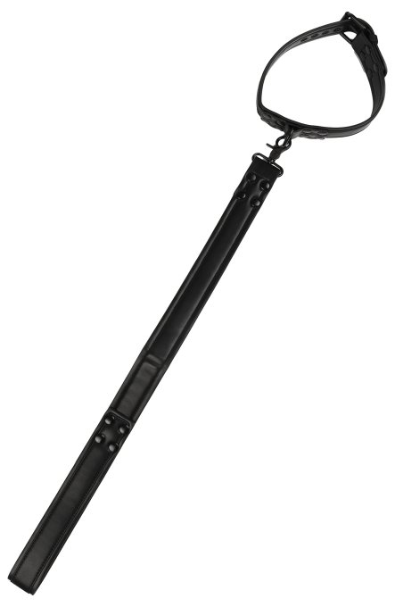 Collier-laisse Vantage 8 Noir