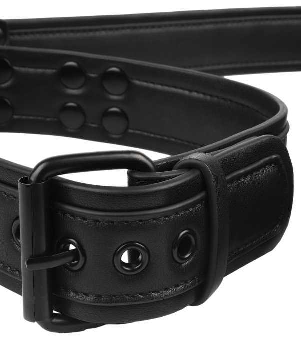 Collier-laisse Vantage 8 Noir
