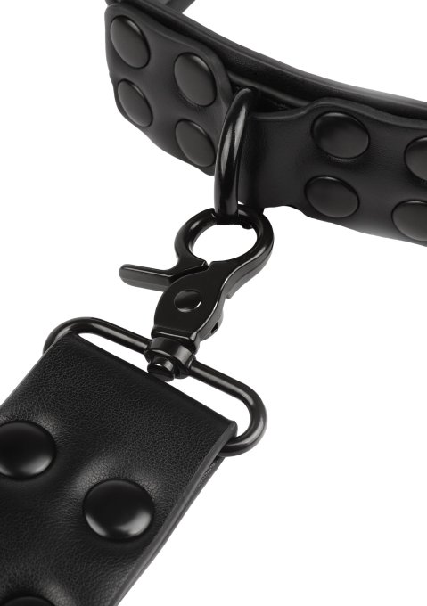 Collier-laisse Vantage 8 Noir