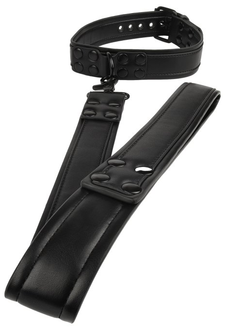 Collier-laisse Vantage 8 Noir