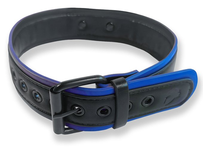 Collier Puppy Collar Noir-Bleu