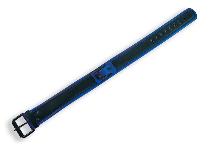 Collier Puppy Collar Noir-Bleu