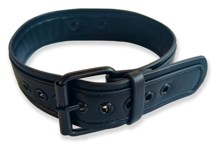 Collier Puppy Collar Noir