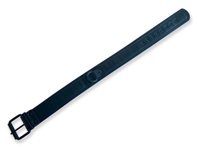 Collier Puppy Collar Noir