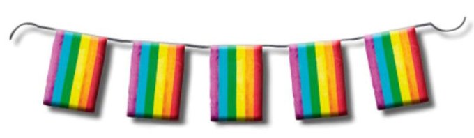 Guirlande à fanions Rainbow 10m