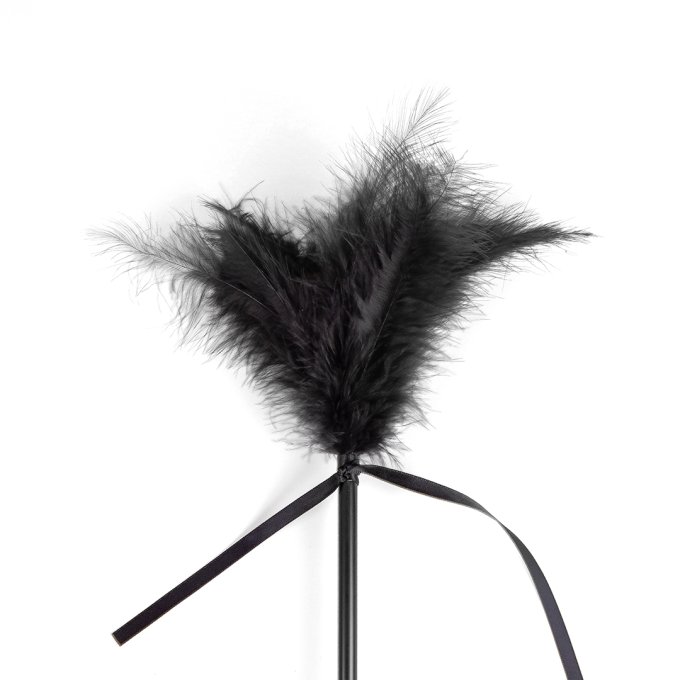 Cravache et Plumeau Secret Touch 50cm Noir
